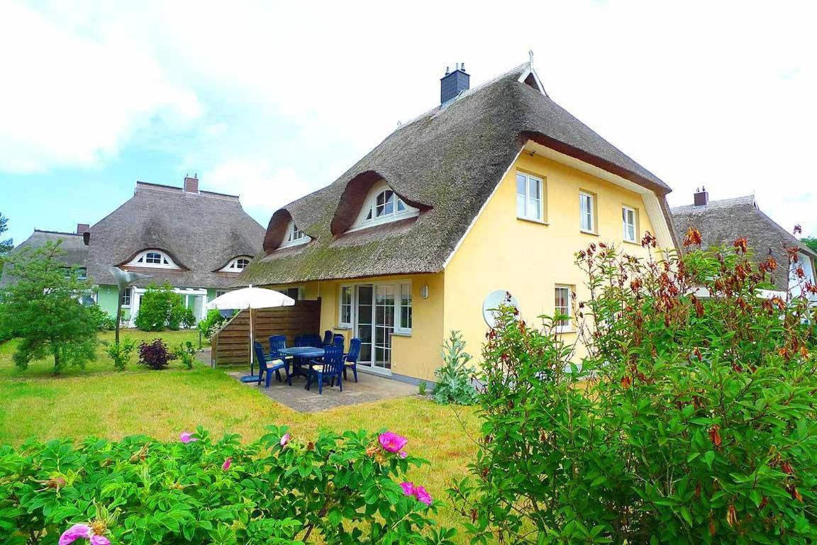 Ferienhaus An Der Alten Waldschaenke Ws-11A Борн Екстер'єр фото